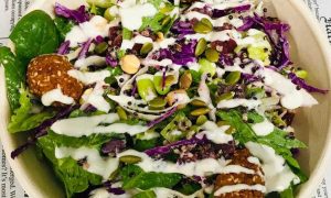 Protein Vegan